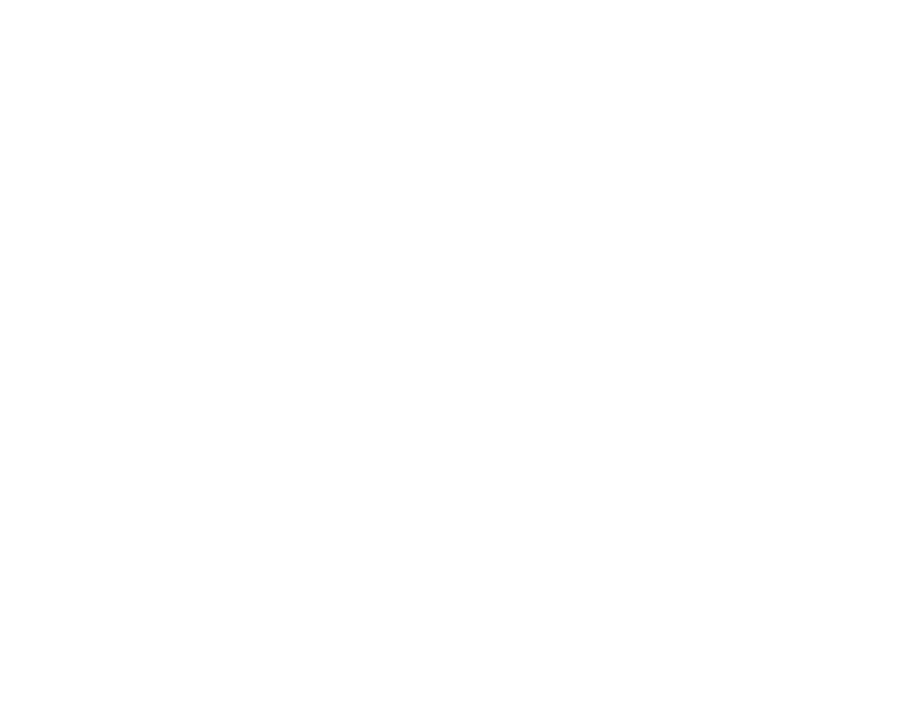 Viva Fiesta